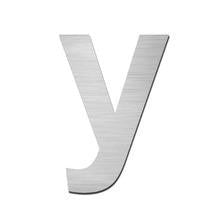 Stainless Steel Letter y